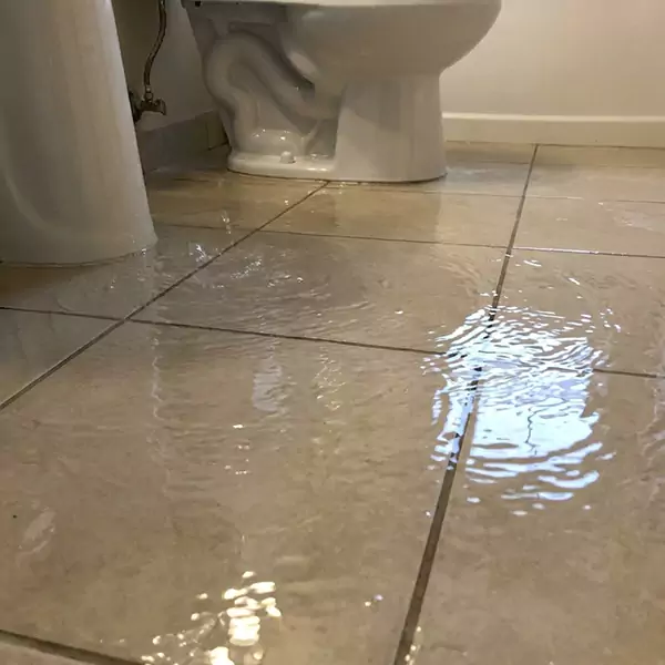Expert Flooded Bathroom Restoration in Jupiter, FL 