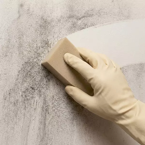 Smoke Cleaning in Jupiter, FL 