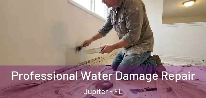Professional Water Damage Repair Jupiter - FL