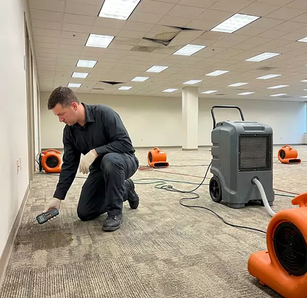 Why Businesses Choose Jupiter Water Restoration for Commercial Water Damage in Jupiter, FL?