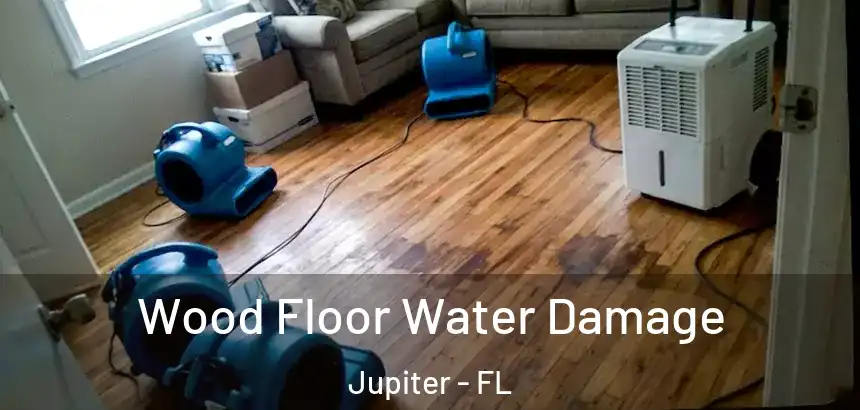  Wood Floor Water Damage Jupiter - FL